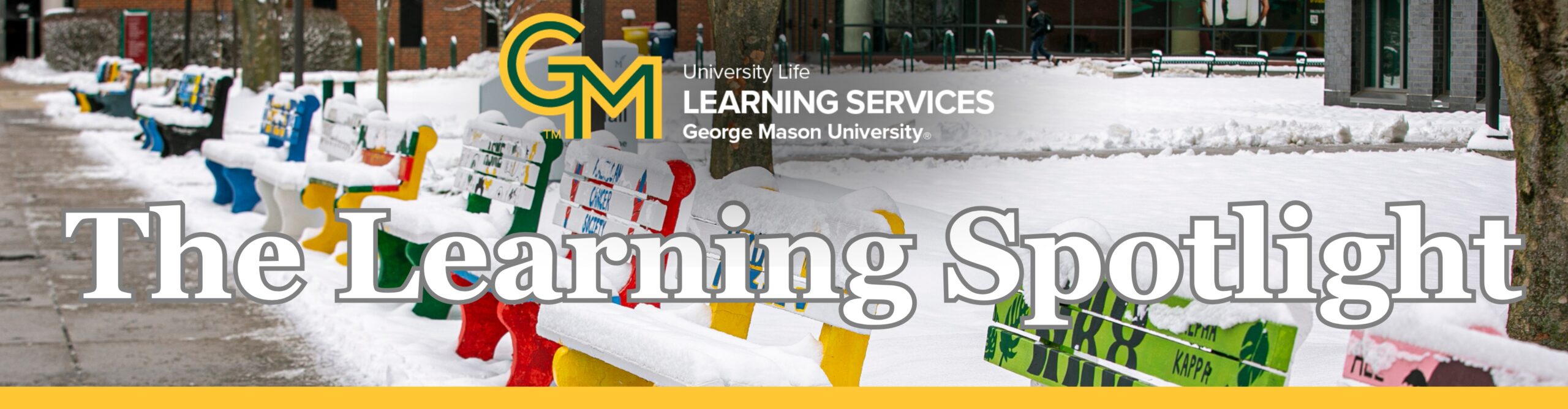 The Learning Spotlight from Learning Services