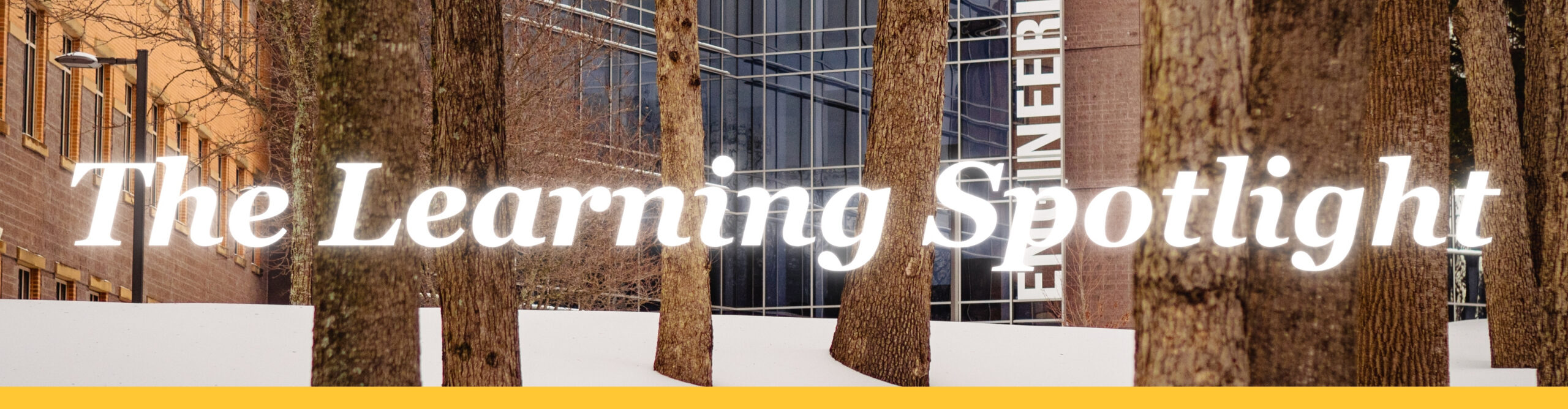 The Learning Spotlight